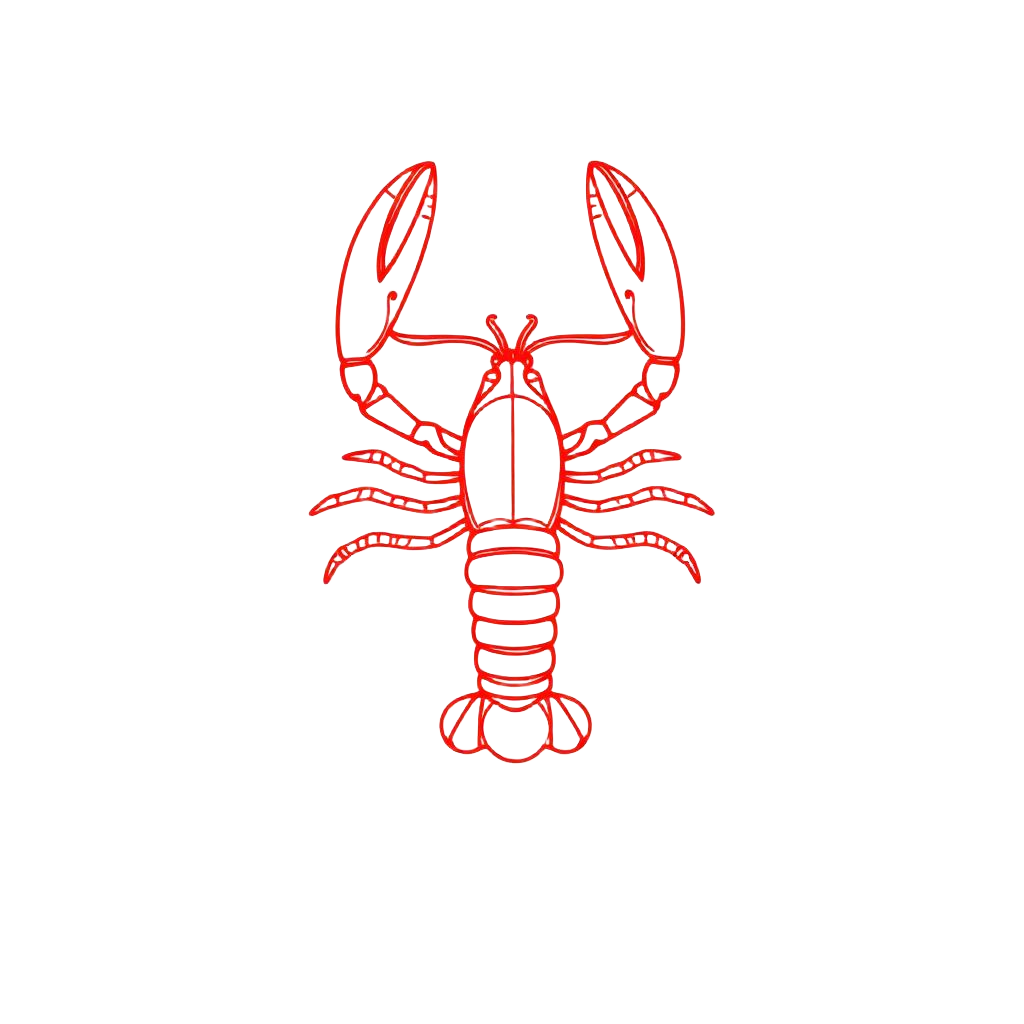 Lobster illustration
